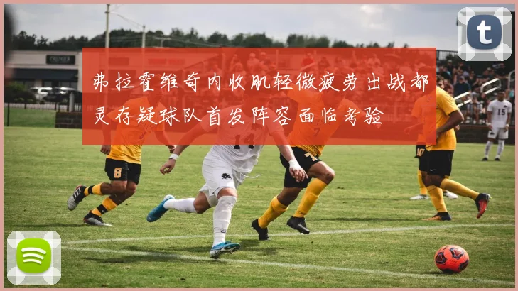 弗拉霍维奇内收肌轻微疲劳出战都灵存疑球队首发阵容面临考验