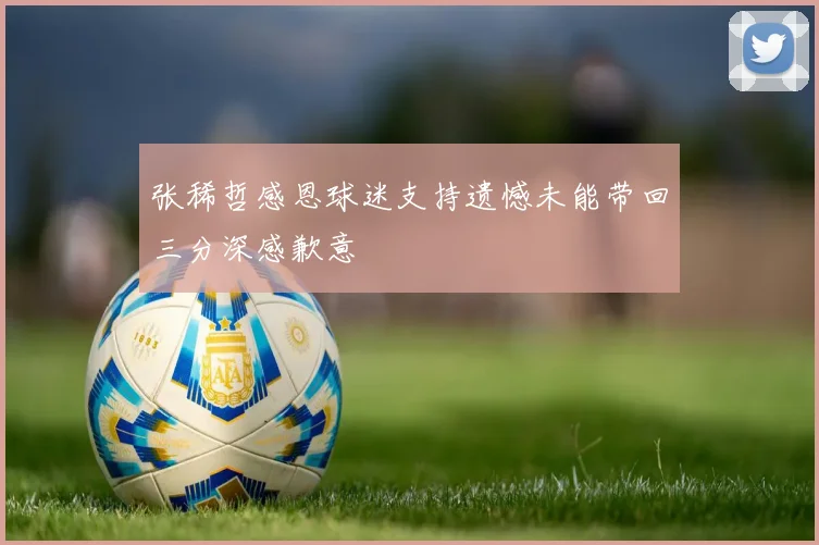 张稀哲感恩球迷支持遗憾未能带回三分深感歉意